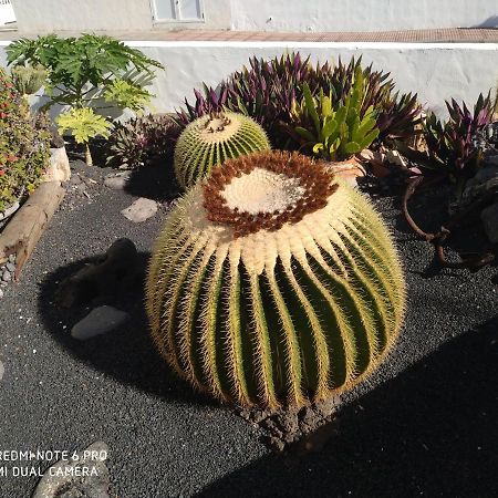 Caracola Azul Lägenhet Arrieta  Exteriör bild