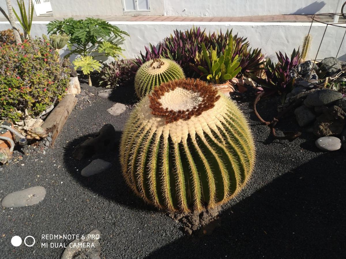 Caracola Azul Lägenhet Arrieta  Exteriör bild